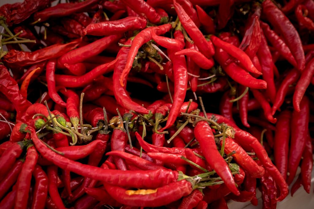 Calabrisella Mia: alla scoperta di tradizioni culinarie e nunziali